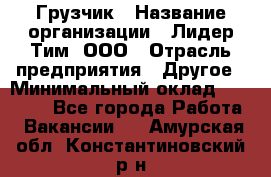 Грузчик › Название организации ­ Лидер Тим, ООО › Отрасль предприятия ­ Другое › Минимальный оклад ­ 11 000 - Все города Работа » Вакансии   . Амурская обл.,Константиновский р-н